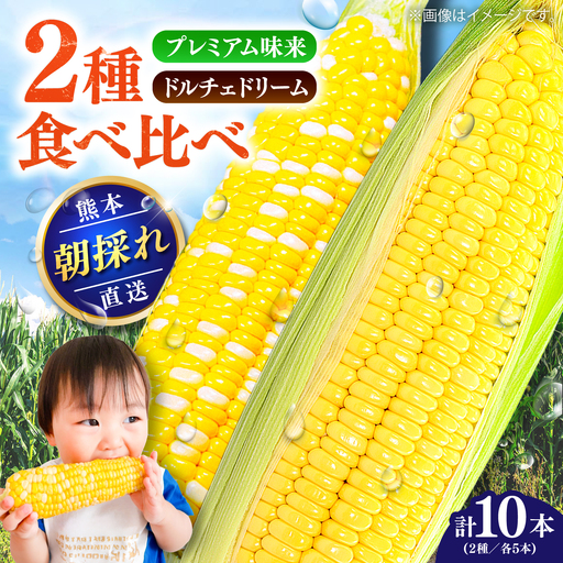 先行予約 2027年5月下旬より順次発送 スイートコーン(ドルチェドリームとプレミアム味来) 食比べ スイートコーン