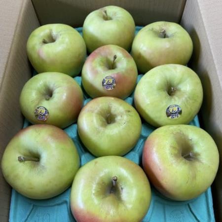【令和8年10月中旬頃順次発送】青森りんご「ぐんま名月」約3kg(家庭用)【配送不可地域：離島】【1766650】