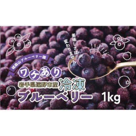 訳あり 冷凍 ブルーベリー 1kg 岩手県遠野市 遠野食工房蔵【配送不可地域：離島】【1583536】