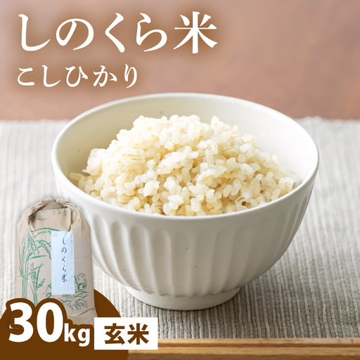 【令和8年度 新米先行受付】しのくら米（こしひかり）玄米30kg 