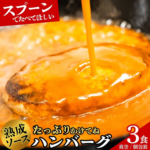 [ふるさと納税限定] ハンバーグSaiの味 ふわふわ ハンバーグ 自家製ソース付き 3食 sai001a ハンバーグ