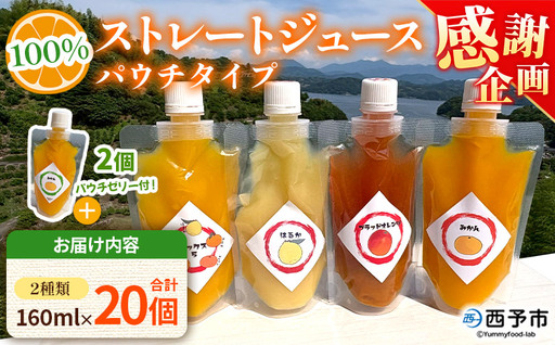 [感謝企画][100%ストレートジュース パウチタイプ 160ml×20個(2種類×10)+パウチゼリー165g×2個]『1か月以内に順次発送予定』種類はおまかせ 飲み比べ 果物 くだもの フルーツ 柑橘類 みかん 蜜柑 ミカン みかんジュース 飲料 渡江から一歩を踏み出す会 愛媛県 西予市[常温]ATI0066