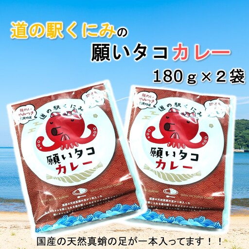 道の駅くにみの願いタコカレー2袋 レトルト 時短 簡単調理 海鮮 真蛸_2802R-1