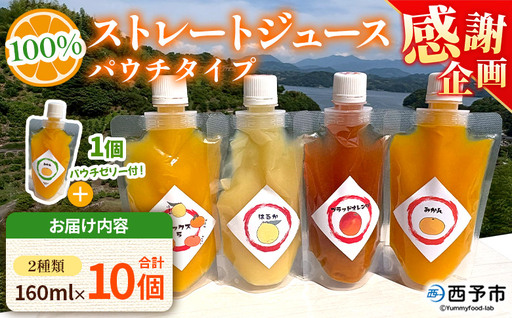 [感謝企画][100%ストレートジュース パウチタイプ 160ml×10個(2種類×5)+パウチゼリー165g×1個]『1か月以内に順次発送予定』種類はおまかせ 飲み比べ 果物 くだもの フルーツ 柑橘類 みかん 蜜柑 ミカン みかんジュース 飲料 渡江から一歩を踏み出す会 愛媛県 西予市[常温]