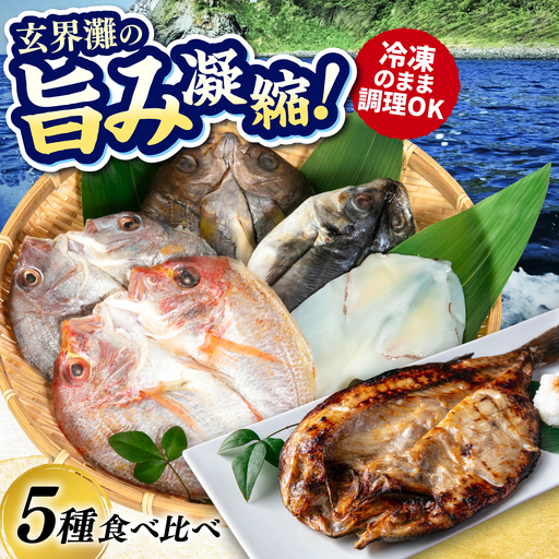 活き活き鮮魚開きセット(真鯛・連子鯛・アジ・いさき・やりいか 計 5枚)糸島市 / 有限会社 糸島海産 / 開き / セット[AMR001]