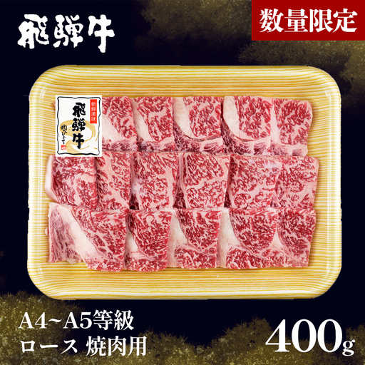 [5営業日以内発送] 数量限定 飛騨牛 A4~A5等級 飛騨牛 ロース 焼肉用 400g