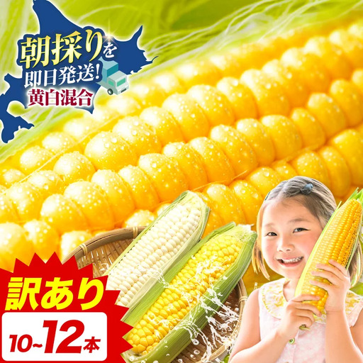 訳あり 極甘 ゴールドラッシュ ホワイト 混合 とうもろこし 10本 ～ 12本 北海道 名寄