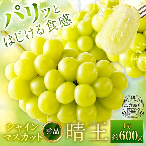 シャインマスカット 晴王 秀品 1房 約600g マスカット ぶどう ブドウ 葡萄 果物 くだもの フルーツ 果実 果汁 果肉 旬 種なし 皮ごと 大粒 冷蔵 国産 岡山県産 [ 2026年9月上旬から10月下旬迄発送 ]