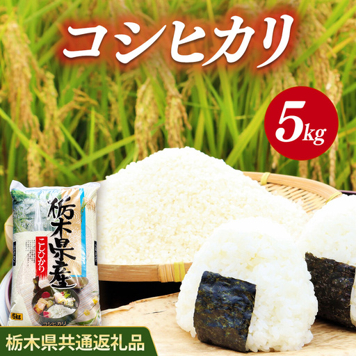 米 コシヒカリ 5kg 栃木県産[栃木県共通返礼品]