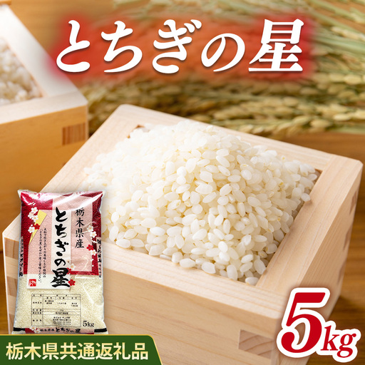 米 とちぎの星 5kg 栃木県産[栃木県共通返礼品]