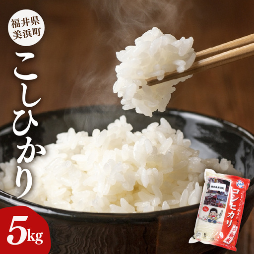 [先行予約][令和8年産・新米]コシヒカリ 5kg 美浜町産こしひかり[2026年11月下旬から順次発送] [m60-a020_11]