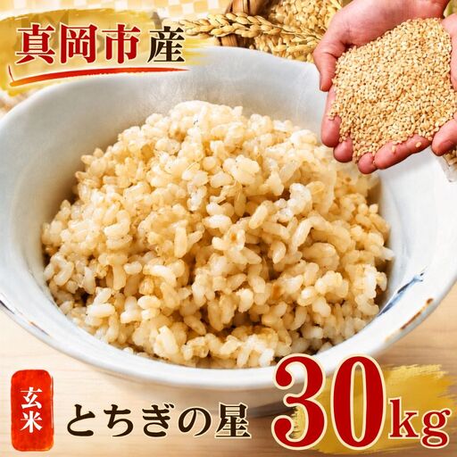 【令和8年産 先行予約】真岡市産 とちぎの星 玄米 30kg 