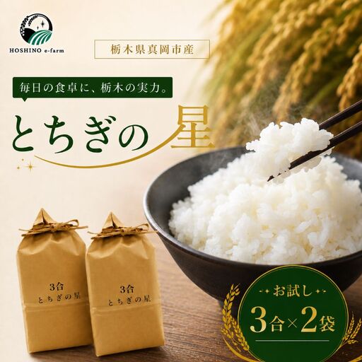 令和7年産 真岡市産 とちぎの星(お試しサイズ) 米 3合×2袋 | お米 送料無料