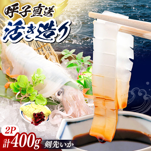 呼子剣先いか 活き造りMサイズ 2パック / イカ 烏賊 新鮮 刺身 / 佐賀県 / 佐賀玄海漁業協同組合（呼子CASセンター）[41ABAN001]