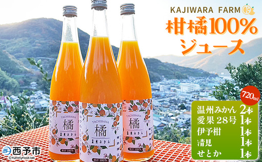 [柑橘100%ジュース (温州みかん2本+まどんな(愛果28号)+伊予柑+清見+せとか 6本)] 温州みかん ストレートジュース 果汁100% ミカン 蜜柑 果物 柑橘 かじわらFARM 愛媛県 西予市[常温]『1か月以内に順次出荷予定』MKF0003
