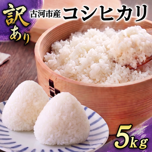 [訳あり]令和7年 古河市産 コシヒカリ 5kg | 米 こめ コメ 5キロ こしひかり コシヒカリ 国産 茨城県産 古河市産 2025年産 着日指定可 着日指定OK _GF25