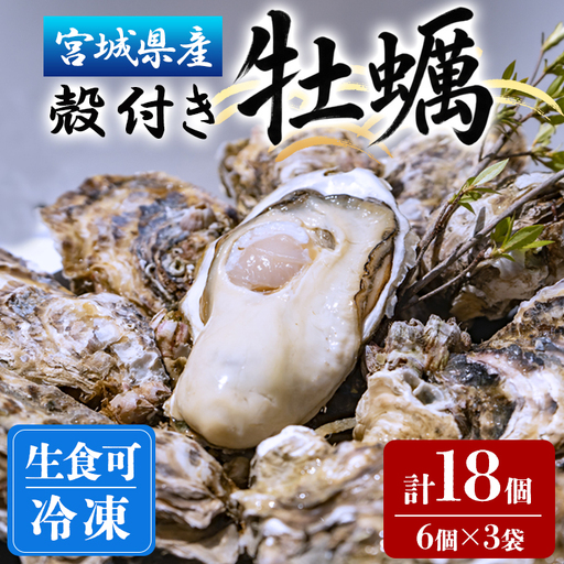 殻付き牡蠣(生食用)冷凍 18個(約1.5kg) 生牡蠣 宮城県産 牡蛎 牡蠣 カキ かき 生食 オイスター カキフライ 牡蠣鍋 海鮮 国産 魚貝類 バーベキュー BBQ [末永海産株式会社]ta679