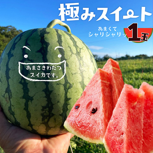 [先行予約]京丹後・俵野産 小玉スイカ 極みスイート 1玉(2027年7月中旬〜発送) 西瓜 すいか 極みスイート 果物 フルーツ 小玉 野菜 ふるさと納税 先行予約 果物 ふるさと 納税 先行予約 ふるさと納税 フルーツ