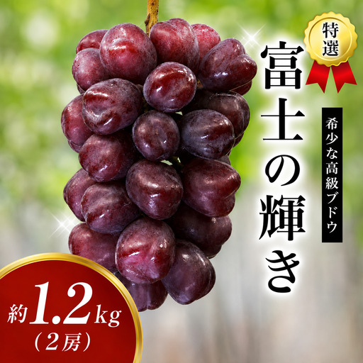 [早い者勝ち!] 特選 富士の輝き2房 (約1.2kg) ※2026年9月頃発送予定 / ブラックシャイン ブラックシャインマスカット シャイン 富士の輝 葡萄 ブドウ 田辺市 和歌山県[kkb007-1]