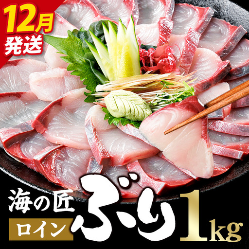 ＜先行予約受付中！2026年12月以降順次発送予定！＞海の匠 ブリ スキンレスロイン (1kg) ぶり 鰤 刺身 国産 魚 海産物 海鮮丼 ぶりしゃぶ 冷蔵 【JP003-12】【三共物商】