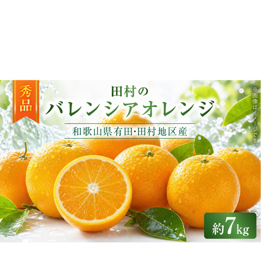 [2027年先行予約]秀品 田村のバレンシアオレンジ 約7kg