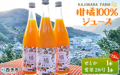 [柑橘100%ジュース (せとか+まどんな(愛果28号)2本)] ストレートジュース 果汁100% ミカン 蜜柑 果物 柑橘 かじわらFARM 愛媛県 西予市[常温]『1か月以内に順次出荷予定』MKF0005