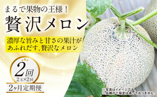 【年2回定期便】『まるで果物の王様！贅沢メロン』 2玉セット×2回 合計4玉  2色楽しめる特別な定期便 【2027年1月下旬発送開始】熊本県産 フルーツ くだもの 果物 メロン 果実 果肉 おやつ 国産