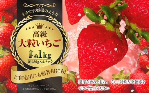 『まるでお姫様のような高級大粒いちご』 大粒いちご 250g×4パック 約1kg （ゆうべにまたは恋みのり） 熊本県産 【2027年1月下旬発送開始】 フルーツ くだもの 果物 イチゴ 苺 いちご ゆうべに 恋みのり おやつ 国産