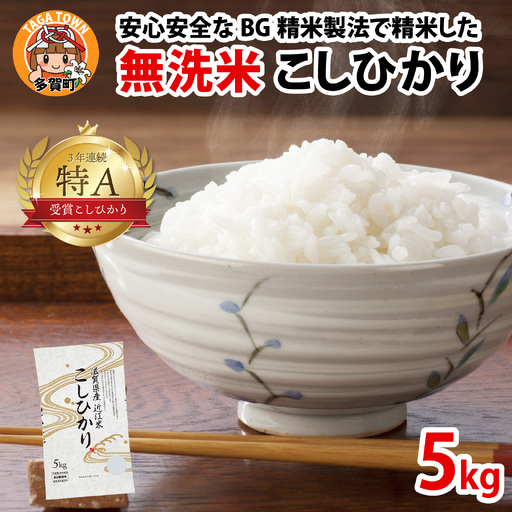 [先行予約][令和8年産新米早期予約]BG無洗米 こしひかり 5kg [A-00403] こしひかり