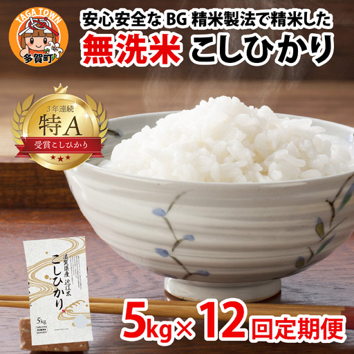 [先行予約][令和8年産新米早期予約 毎月定期配送・計12回] BG無洗米 こしひかり 5kg×12回 [P-00406] / こしひかり