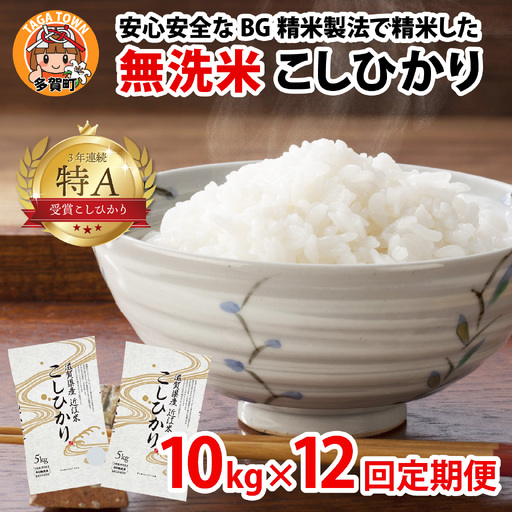 【先行予約】【令和8年産新米早期予約 毎月定期配送・計12回】 BG無洗米 こしひかり 10kg×12回 [R-00403] / こしひかり