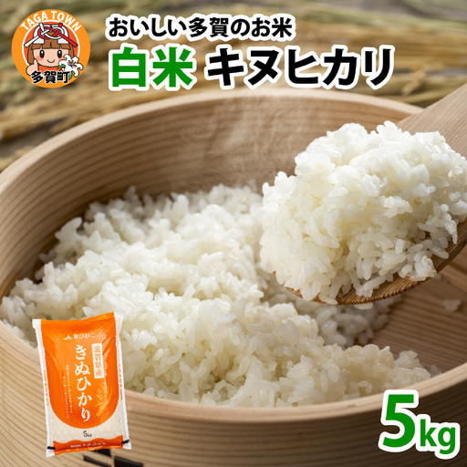 【先行予約】【令和8年産新米早期予約】キヌヒカリ 5kg　おいしい多賀のお米 [A-00409]   キヌヒカリ