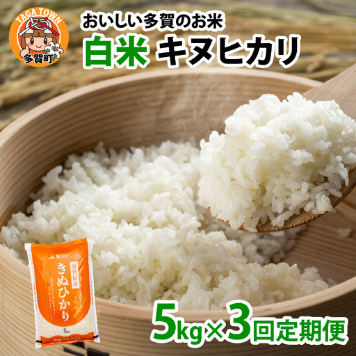 【先行予約】【令和8年産新米早期予約 毎月定期配送・計3回】 キヌヒカリ5kg×3回　おいしい多賀のお米 [D-00402]