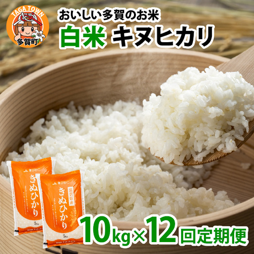 【先行予約】【令和8年産新米早期予約 毎月定期配送・計12回】 キヌヒカリ10kg×12回　おいしい多賀のお米 [N-00401] / 白米