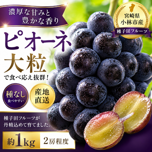 ぶどう  大粒・種なし ピオーネ（ニューピオーネ）1kg  ぶどう
