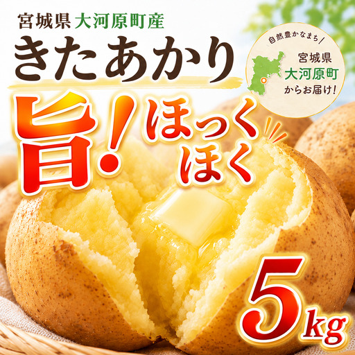 じゃがいも きたあかり 5kg 産地直送 農家直送 野菜 キタアカリ 甘い ホクホク ポテトサラダ コロッケ じゃがバター 常温 保存 備蓄 大容量 サイズ 不揃い 混合 家庭用 おうちごはん 送料無料 大河原町