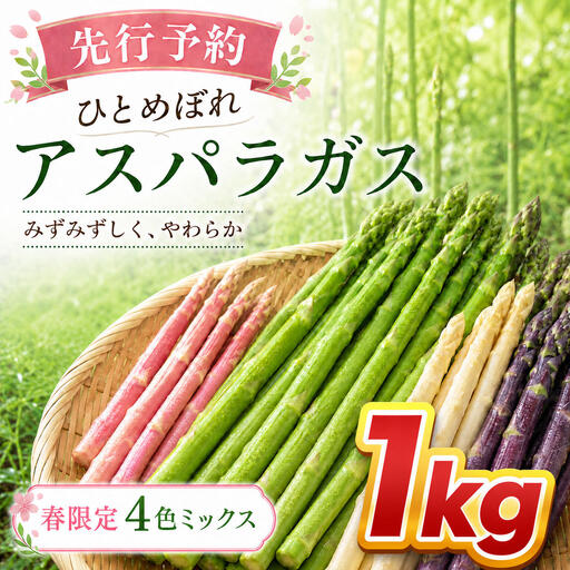 [先行予約]春限定 ひとめぼれアスパラガス 1kg 4色 食べ比べ グリーン パープル ピンク ホワイト 産地直送 農家直送 野菜 新鮮 旬 アスパラ 春野菜 サラダ カラフル バーベキュー BBQ おすそ分け ファミリー 大容量 ギフト 送料無料