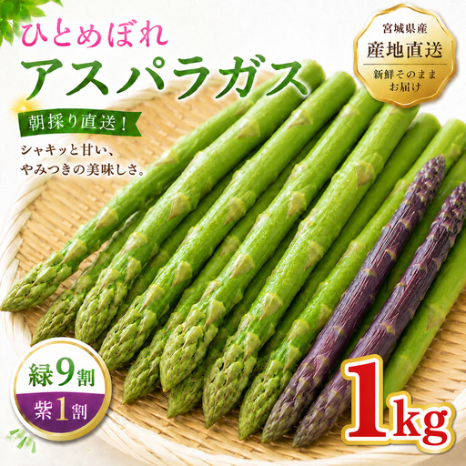 夏限定 ひとめぼれアスパラガス 1kg グリーン パープル ミックス 産地直送 農家直送 夏野菜 朝採れ 新鮮 旬 アスパラ シャキシャキ サラダ バーベキュー BBQ お弁当 肉巻き おすそ分け ファミリー 大容量 ギフト 送料無料