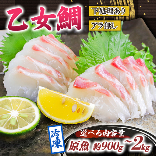 乙女 鯛 2尾 ロイン 原魚 約 2kg 冷凍 ブランド 真鯛 高知県 須崎市 ks049