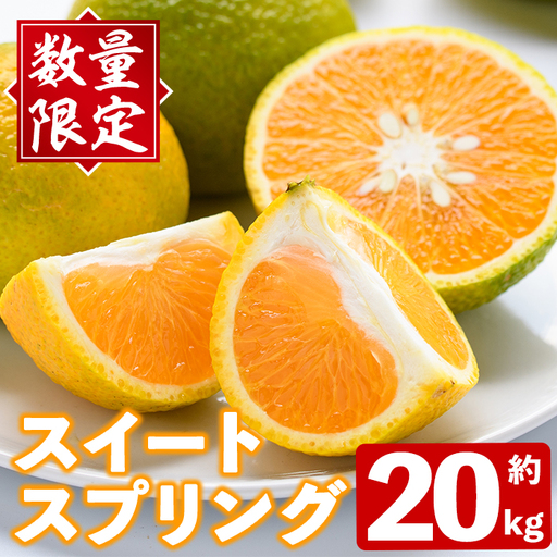 [先行予約受付中!2026年12月下旬以降順次発送予定]秀品!スイートスプリング(約20kg) 国産 鹿児島県産 阿久根市産 柑橘類 みかん ミカン 果物 フルーツ デザート スイスプ 数量限定 期間限定 [有限会社まなべみかん園]akn034-16