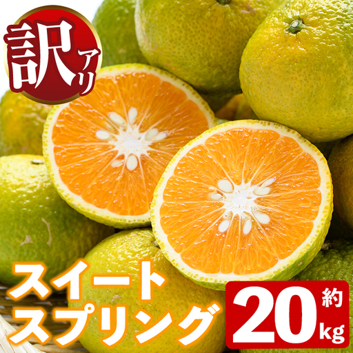 [先行予約受付中!2026年12月下旬以降順次発送予定]訳あり!スイートスプリング(約20kg) 国産 鹿児島県産 阿久根市産 柑橘 みかん 果物 フルーツ デザート ご家庭用 ご自宅用 [有限会社まなべみかん園]akn034-17