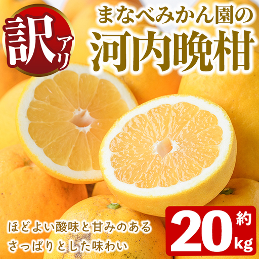 [先行予約受付中!2027年3月中旬以降順次発送予定]訳あり!まなべみかん園の河内晩柑(約20kg) 国産 鹿児島県産 阿久根市産 柑橘類 果物 フルーツ 期間限定 数量限定 デザート [有限会社まなべみかん園]akn034-21
