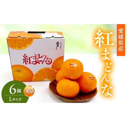 紅まどんな 秀品 Lサイズ 6個 果物 フルーツ 柑橘 柑橘類 国産 愛媛