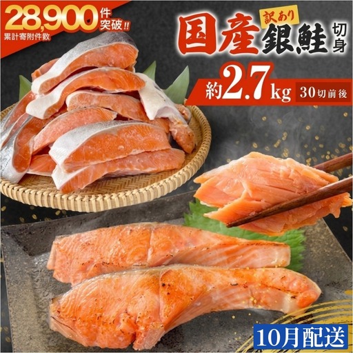 【10月配送】 訳あり 国産 銀鮭 定塩切身 どっさり 2.7kg [宮城県 石巻市] サケ しゃけ 魚 鮭