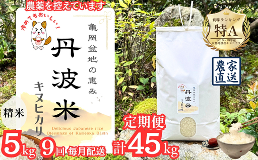 定期便 令和8年産 新米 京都丹波産 キヌヒカリ 5kg×9回 計45kg 白米 精米