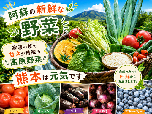 [阿蘇 郷乃舎]阿蘇高原 農家直送こだわり野菜 お野菜 6~8品 野菜ソムリエ上級プロ厳選 郷乃舎 新鮮 お野菜 産地直送 熊本県 阿蘇市