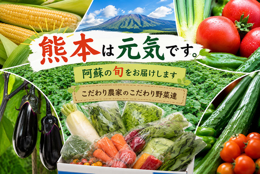 [阿蘇 郷乃舎]阿蘇高原 農家直送こだわり野菜と特産品セット お野菜8~10品 +ASOMILK のむヨーグルト 野菜ソムリエ上級プロ厳選 ASOMILK のむヨーグルト 牛乳 ミルク 阿部牧場 郷乃舎 新鮮 お 産地直送 牧場直送 詰め合わせ お取り寄せ 熊本県 阿蘇市