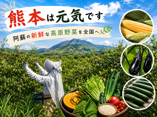 [定期便全3回][阿蘇 郷乃舎]阿蘇高原 農家直送こだわり野菜 お野菜 6~8品 定期便全3回 野菜ソムリエ上級プロ厳選 郷乃舎 新鮮 お野菜 産地直送 詰め合わせ お取り寄せ 熊本県 阿蘇市