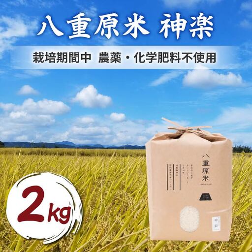 R8年産新米!東御市産コシヒカリ八重原米「神楽」(栽培期間中農薬/化学肥料不使用) 白米2kg |シラクラファーム 特A米 一等米 長野県農薬削減認証取得