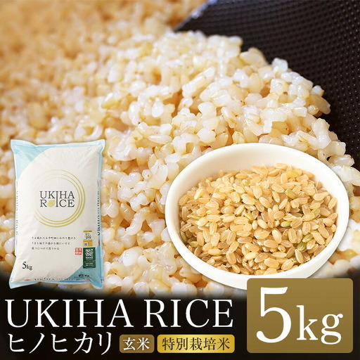 【ふるさと納税】玄米 ひのひかり UKIHA RICE 5kg 特別栽培米 ヒノヒカリ 令和7年産 米 こめ ご飯 コメ ごはん ヘルシー 送料無料 国産 国産米 福岡 返礼品 お弁当 家庭用 ギフト プレゼント 仕送り お取り寄せ うきは市 株式会社みずほファーム